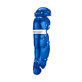 Catcher's Leg Guards T775549