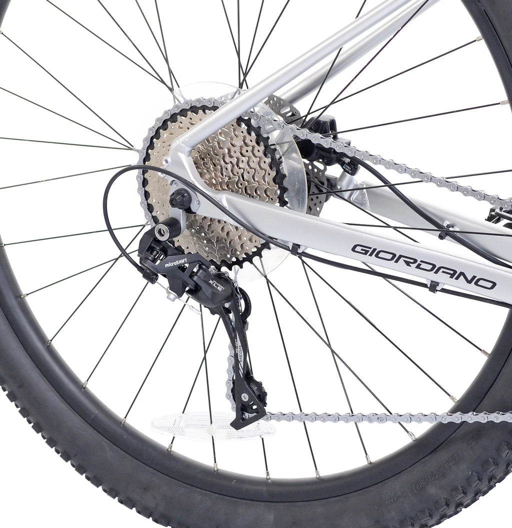 29-inch Front Suspension 10 Speeds Mountain Bike A692