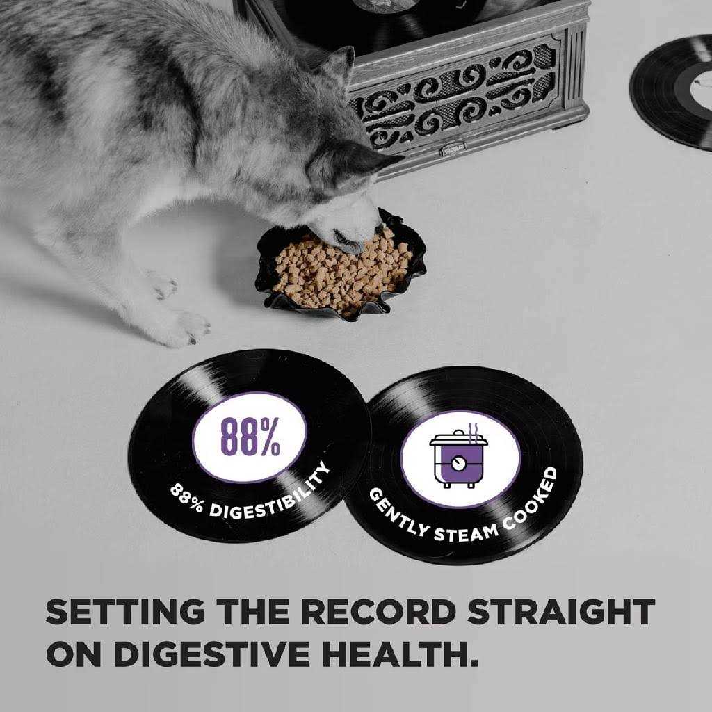 Dog Food U5425