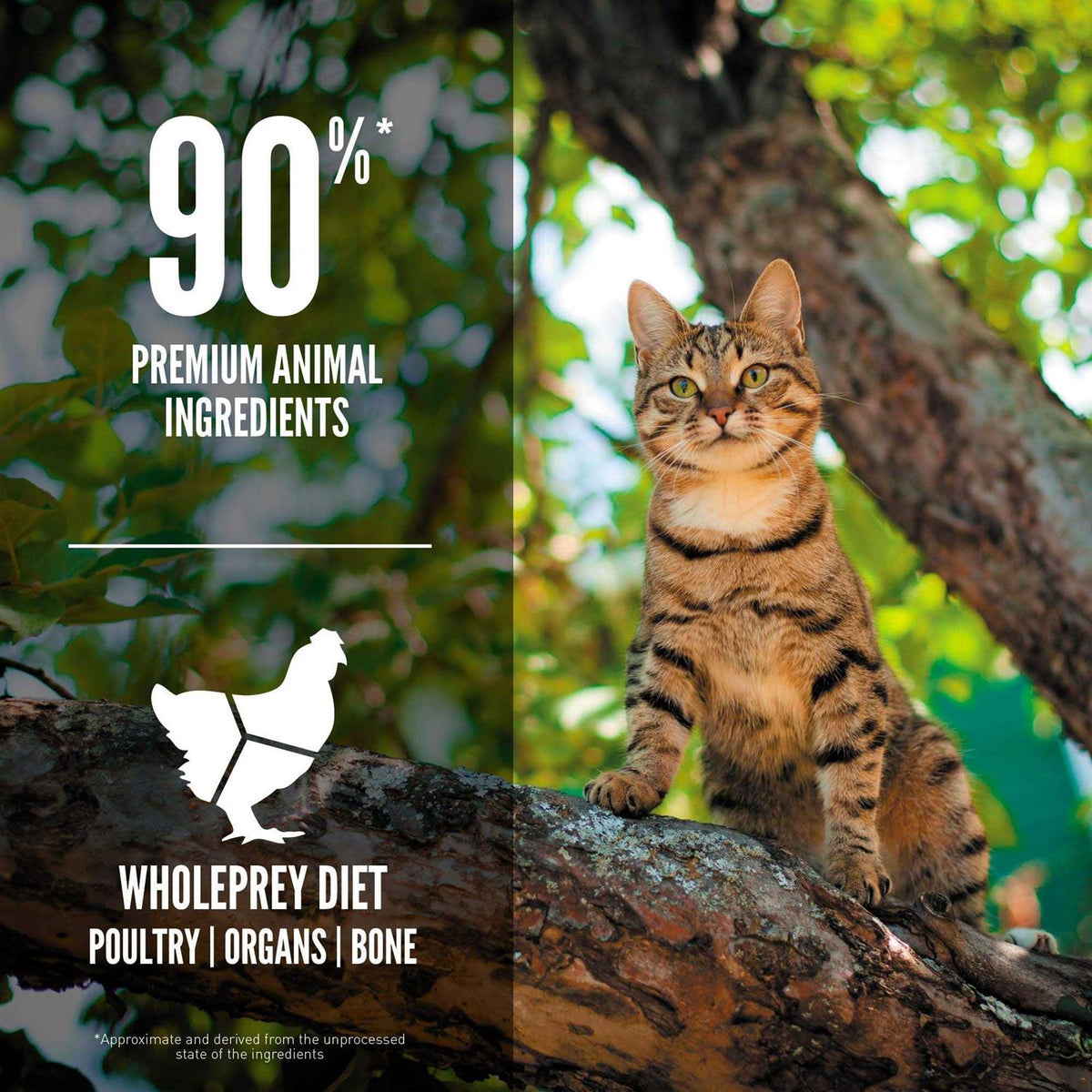 Dry Cat Food F65764