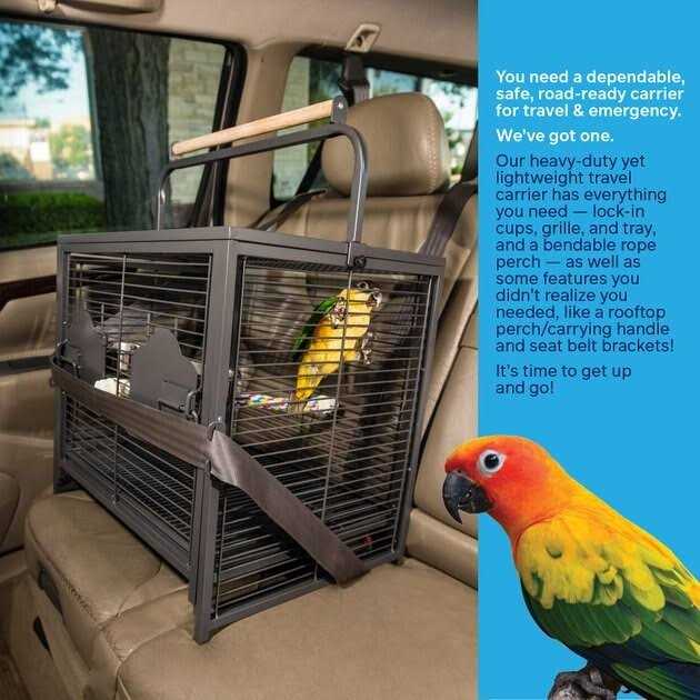 Pet Travel Carrier H288063