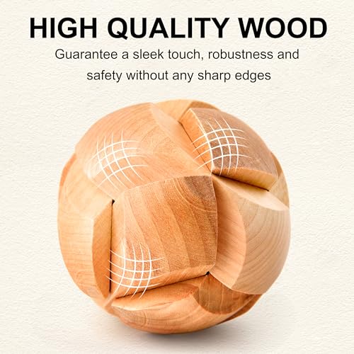 16 PCS Metal & Wooden Brain Teaser Puzzle Set D5576