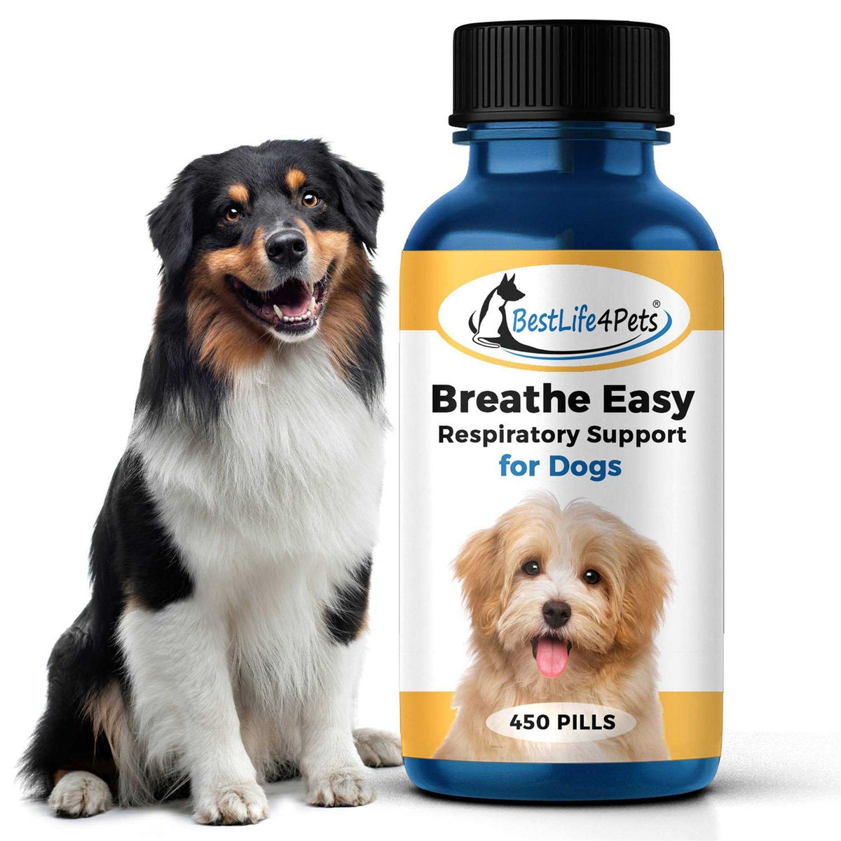 Pet Supplies W15670