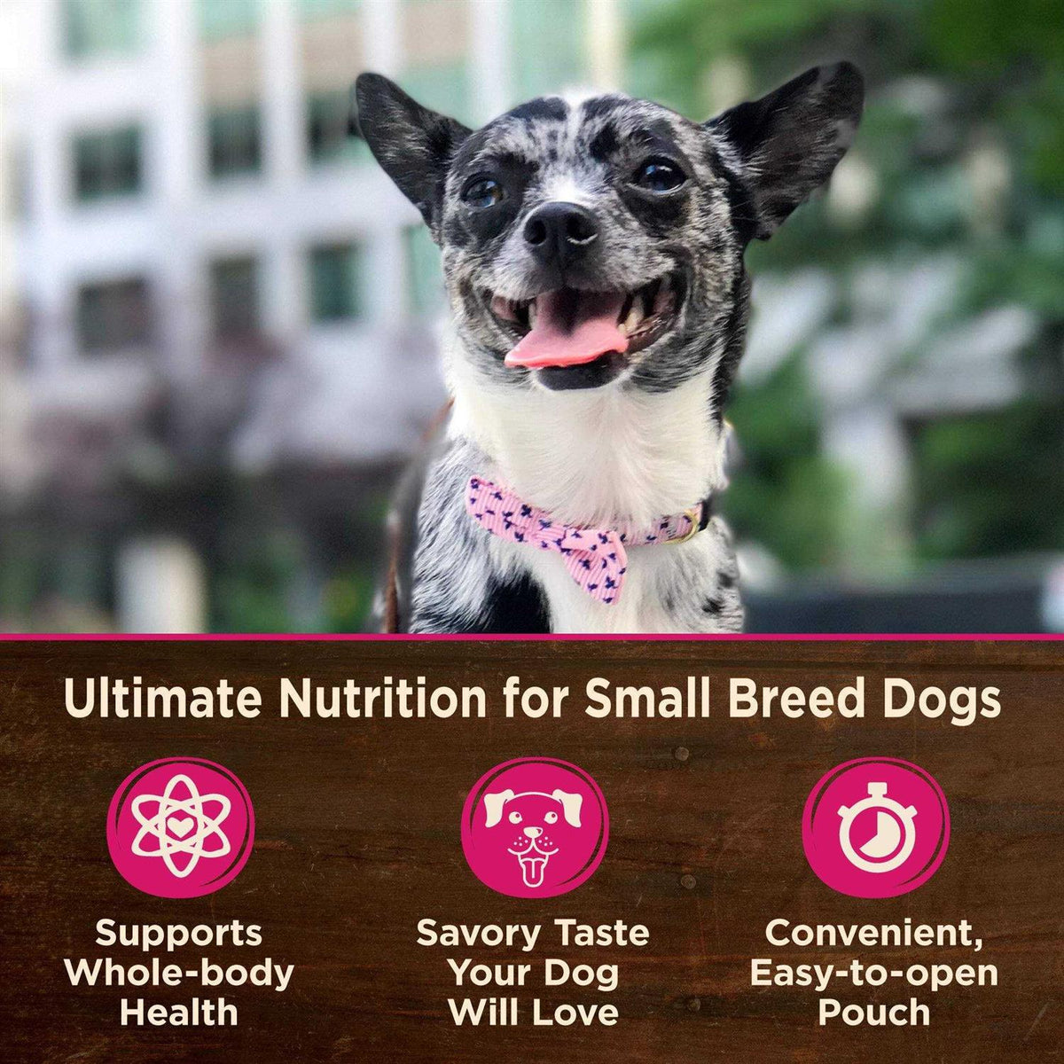 Grain Free Small Breed Wet Dog Food I45695