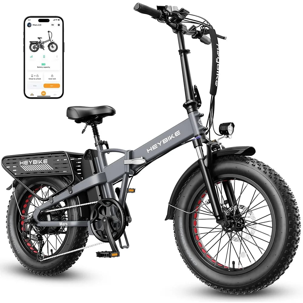20×4 Fat Tire Folding Electric Bike with 48V 12.5AH Removable Battery D298