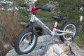 Red Balance Bike Y2896