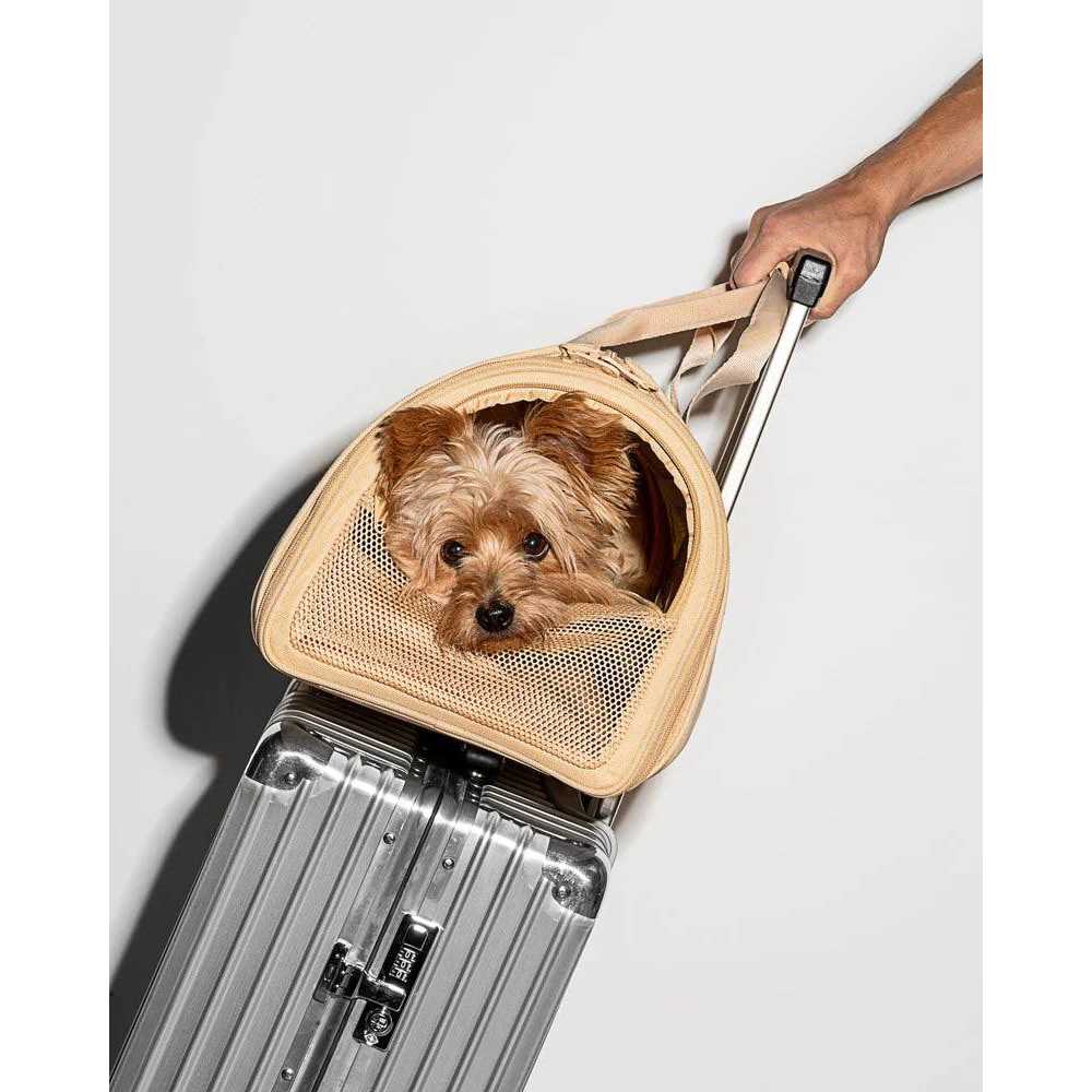 Pet Travel Carrier K302
