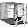 Folding Dog Crate with Double-Door, Tray, Handle B521