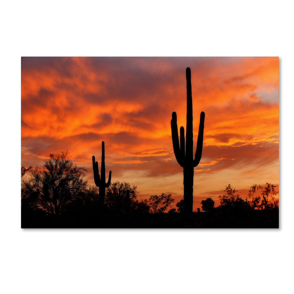 Canvas Art A5510