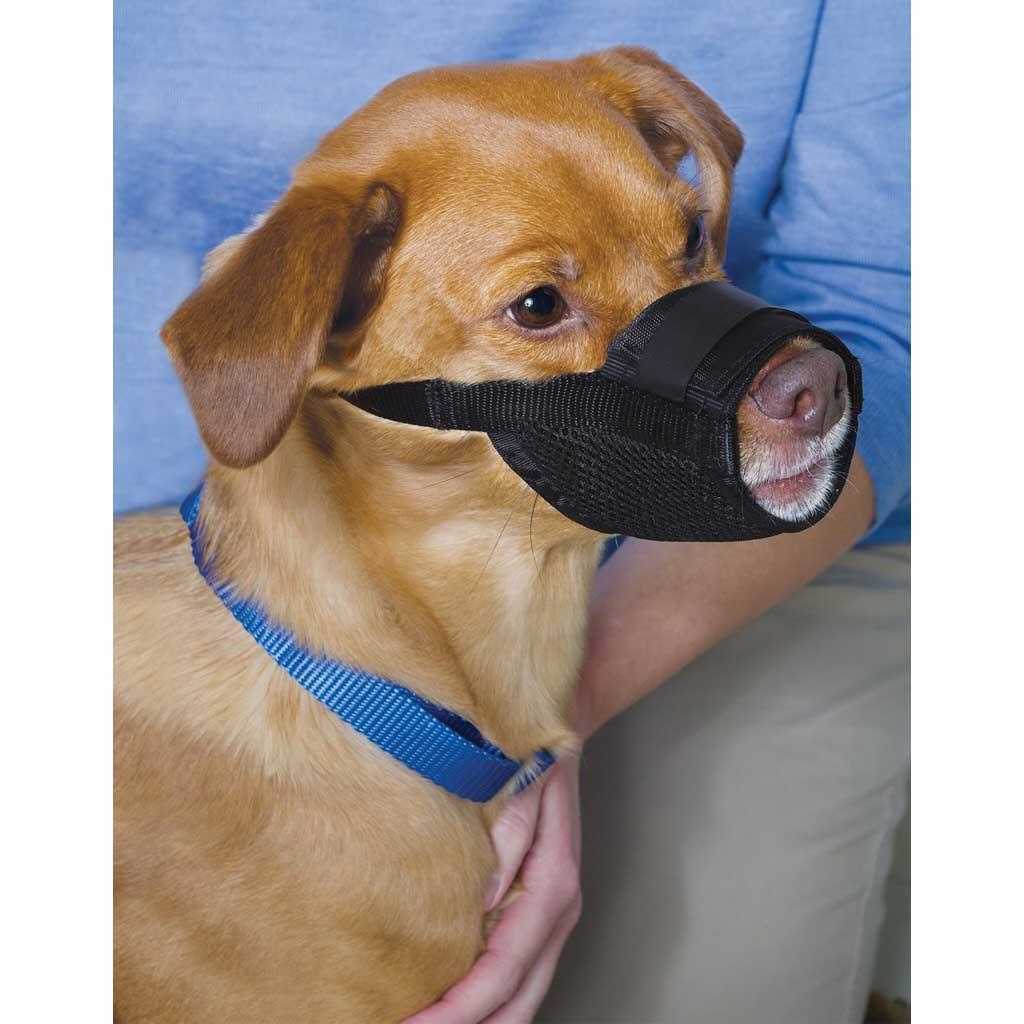 Dog Muzzle H5100