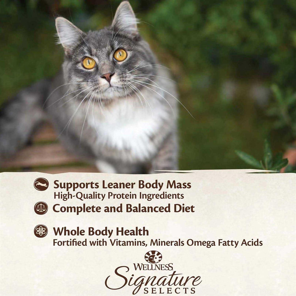 Grain Free Skipjack Tuna & Wild Salmon Canned Cat Food X838