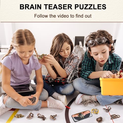 16 PCS Metal & Wooden Brain Teaser Puzzle Set D5576