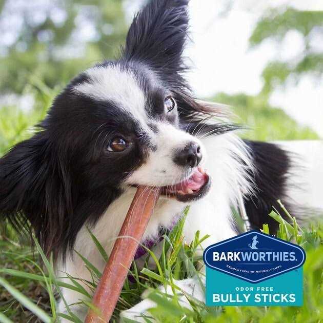 Odor Free Bully B907037