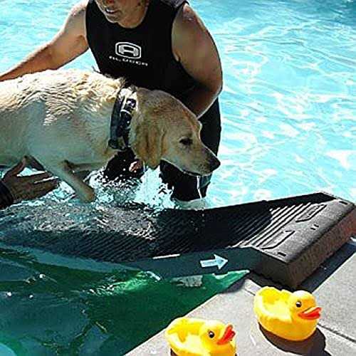 Pool Ramp for Dogs H502