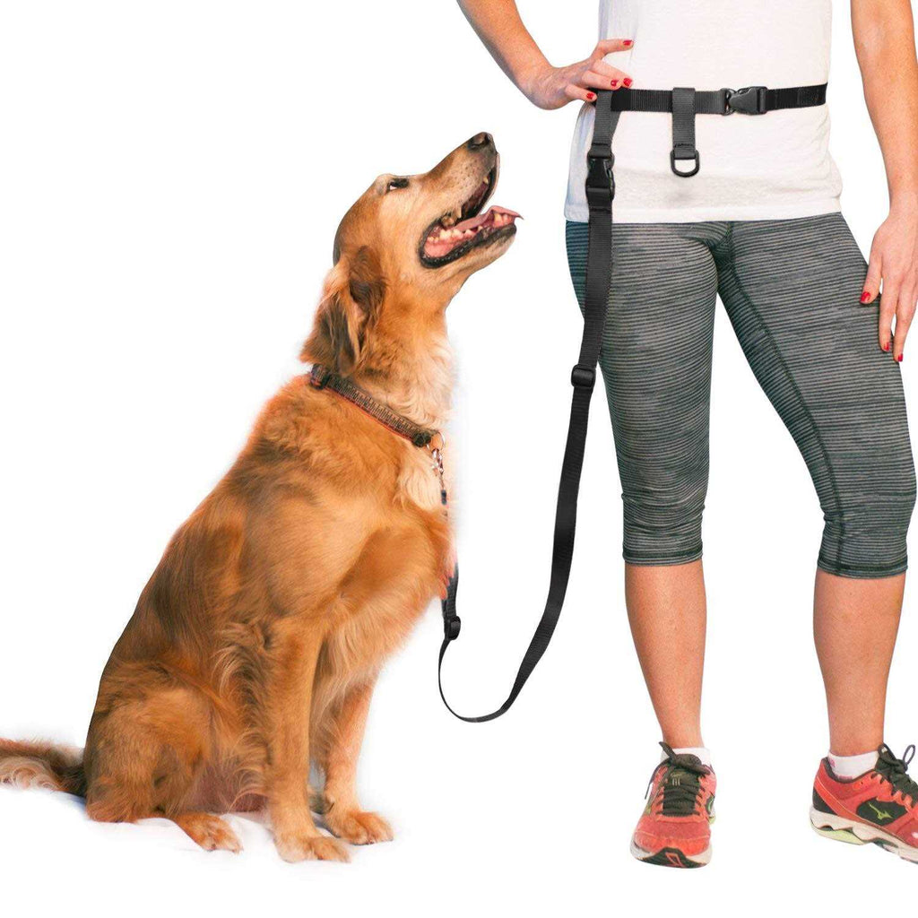 Adjustable Hands Free Dog Leash Q602