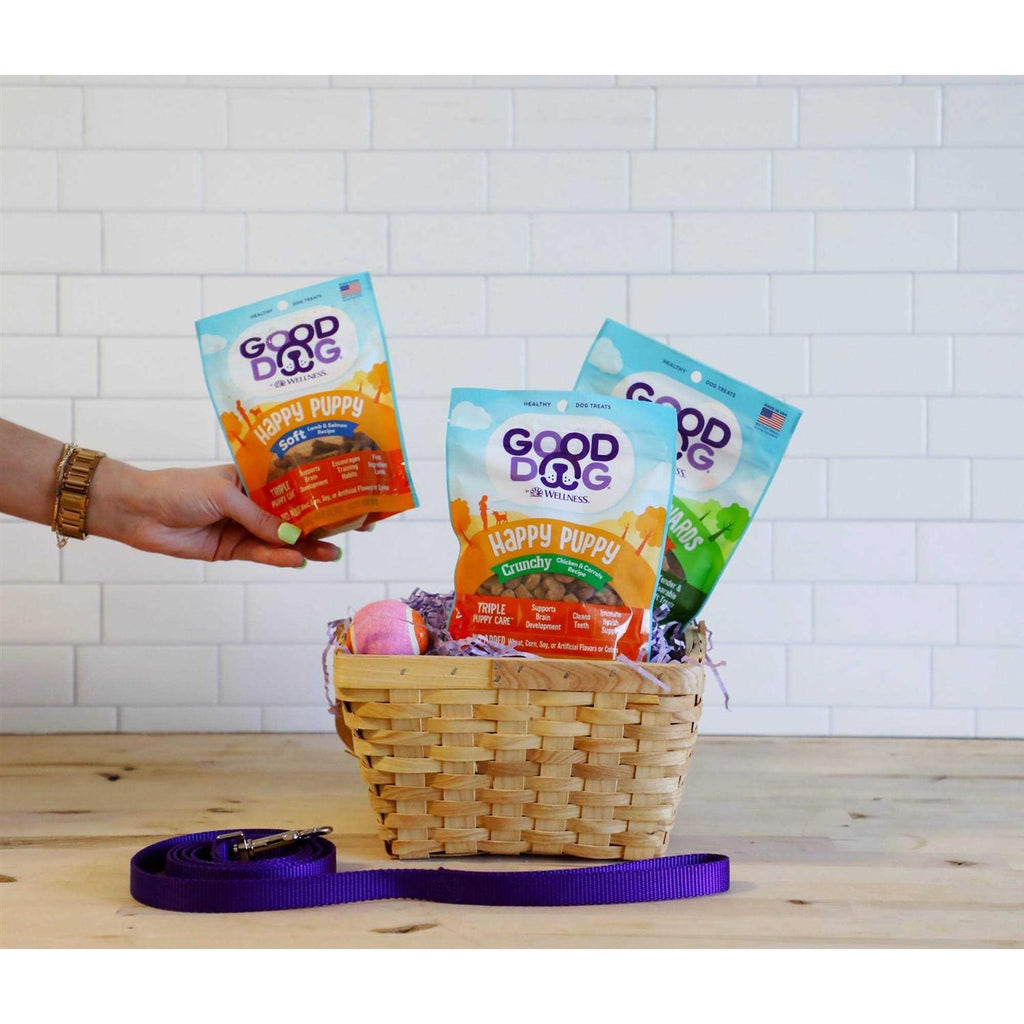 Lamb & Salmon Recipe Puppy Treats F6022