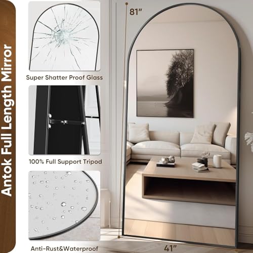 71"x32" Arched Black Full Length Mirror with Stand A660