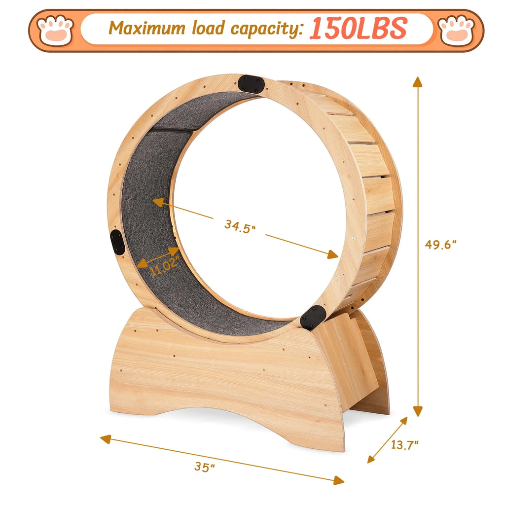 Cat Exercise Wheel U2111