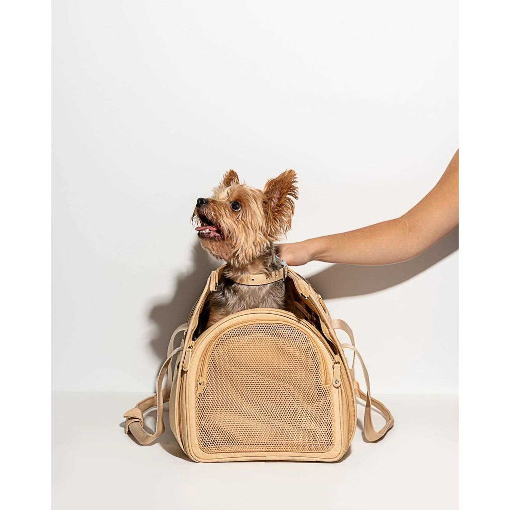 Pet Travel Carrier K302