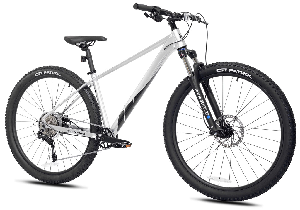 29-inch Front Suspension 10 Speeds Mountain Bike A692