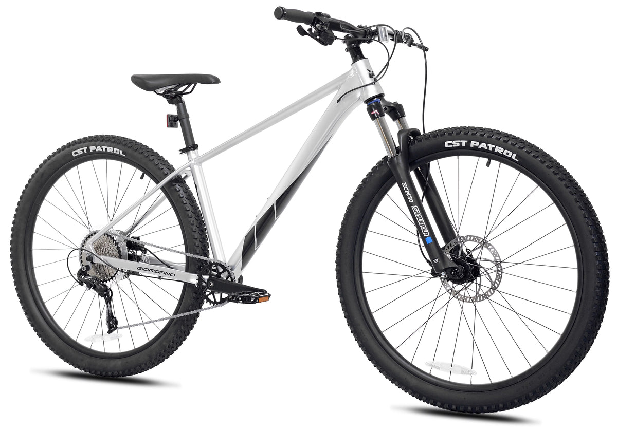 29-inch Front Suspension 10 Speeds Mountain Bike A692