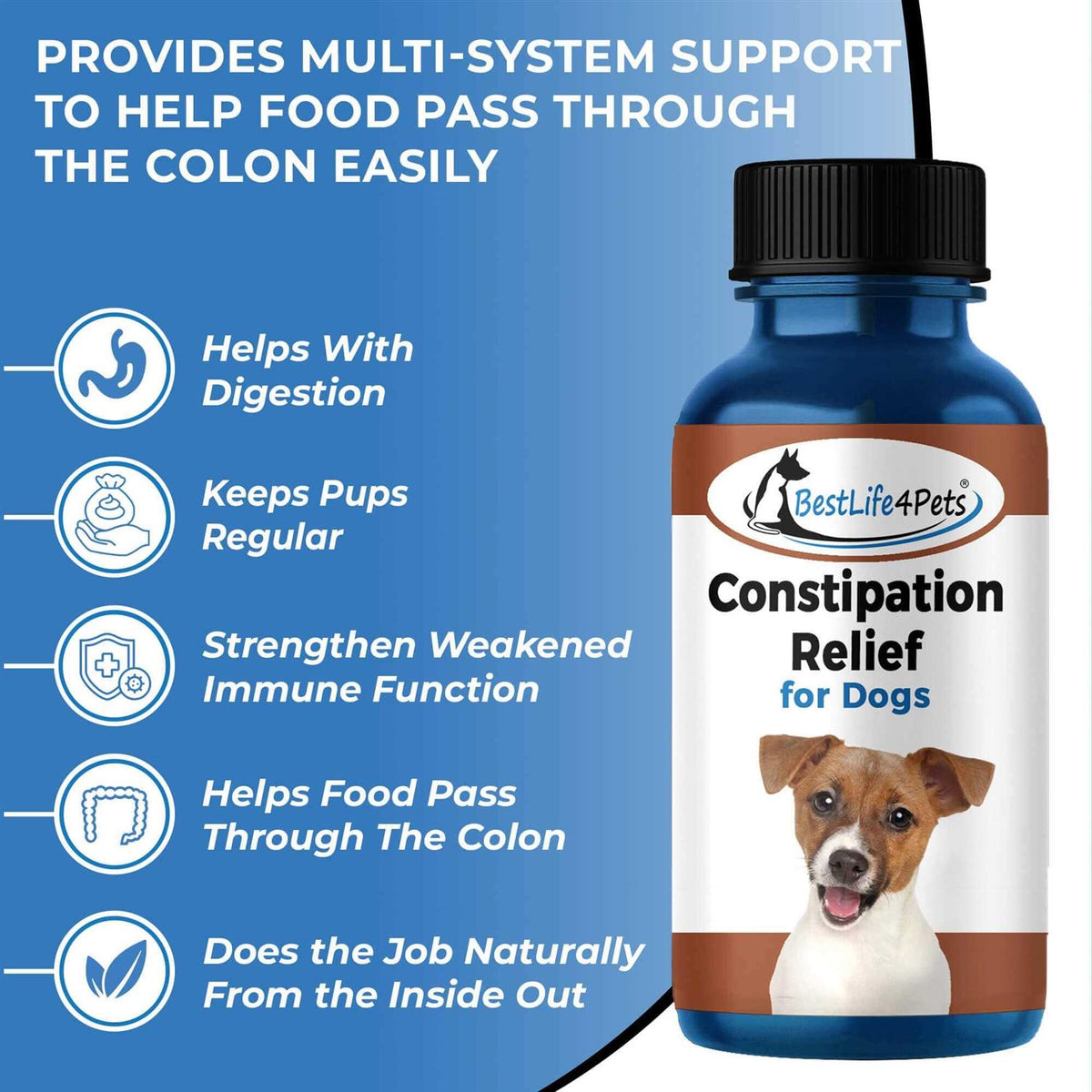 Natural Dog Laxative & Constipation Treatment T735