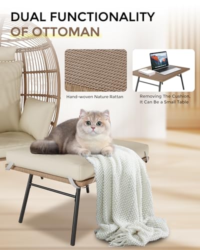 Oversize Wicker Egg Chair with Ottoman T270