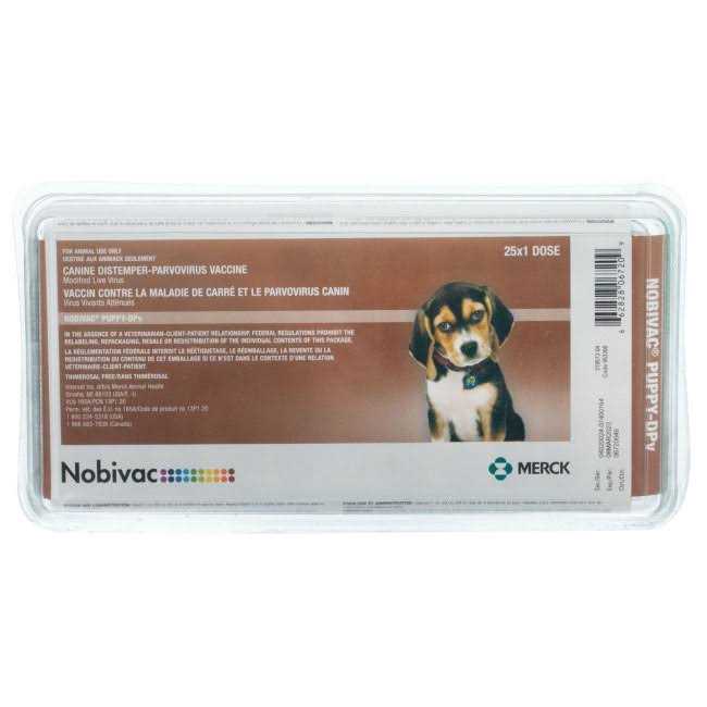 Puppy-DPV I6P3 V427152
