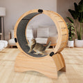 Cat Exercise Wheel U2111