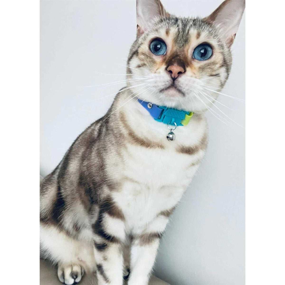 Breakaway Bell Cat Collar E578