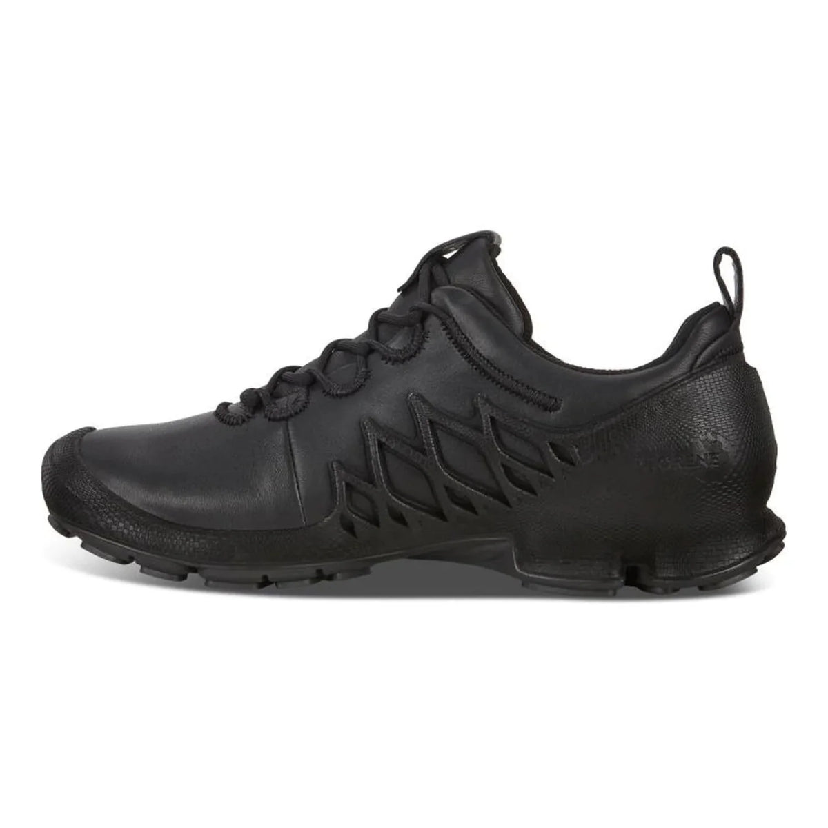 Black Low Shoes G819