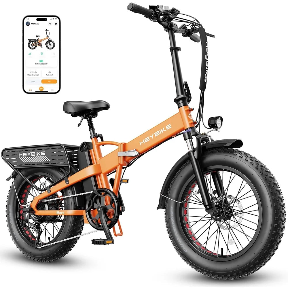 20×4 Fat Tire Folding Electric Bike with 48V 12.5AH Removable Battery D298