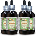 Organic Moringa Oleifera Alcohol-Free Liquid Extract 4x120 ml J320813