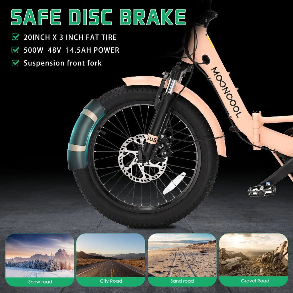 Folding Electric Tricycle 750W Motor 48V 20 Fat Tire 3 Wheel Electric Bicycle A600117
