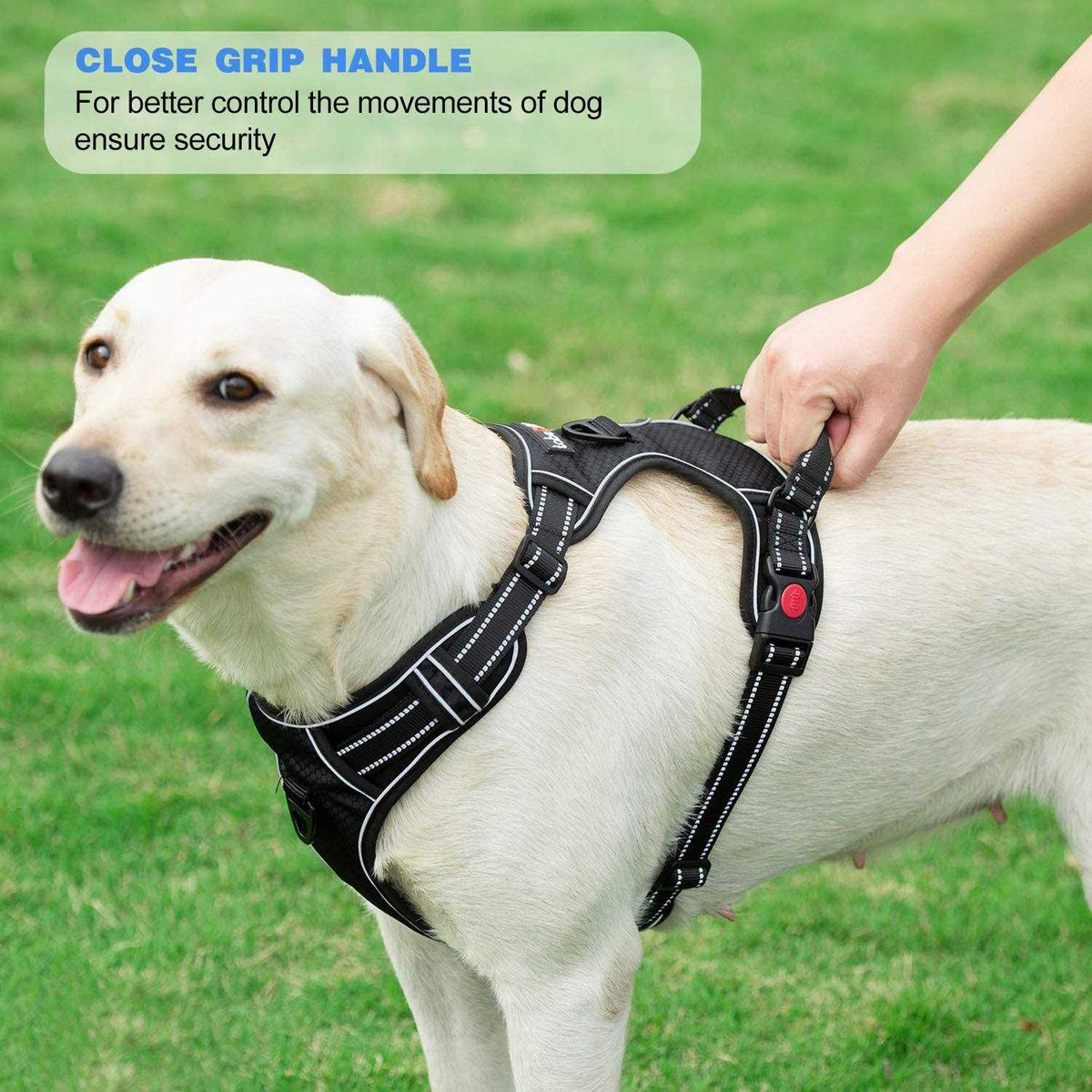 Adjustable Reflective Oxford Dog Harness with 5ft Dog Leash C421927