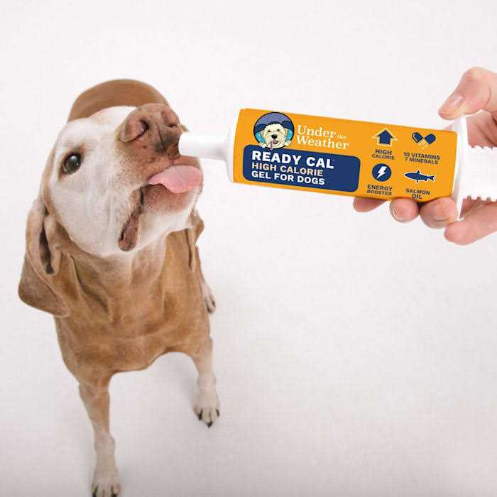 High-Calorie Supplement for Dogs A2570