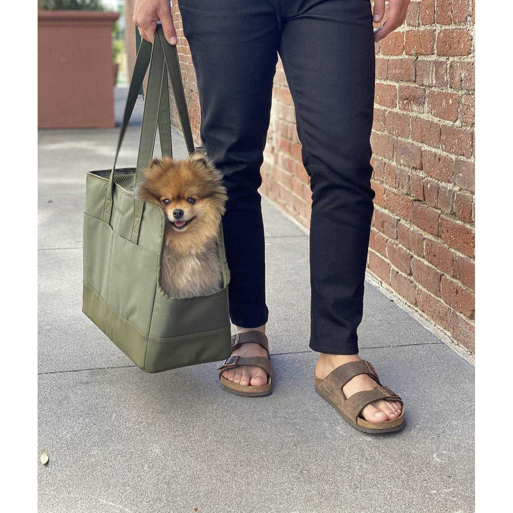 Pet Tote Bag for Small Dogs and Cats W643