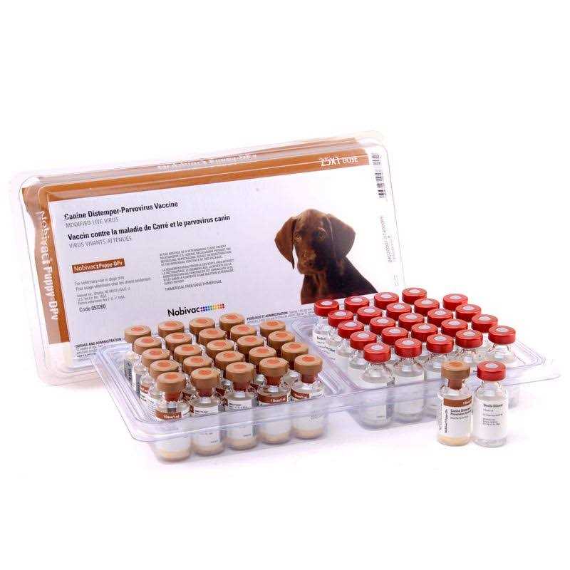 Puppy-DPV I6P3 V427152