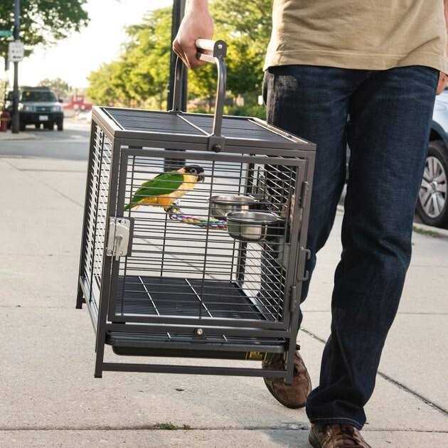 Pet Travel Carrier H288063