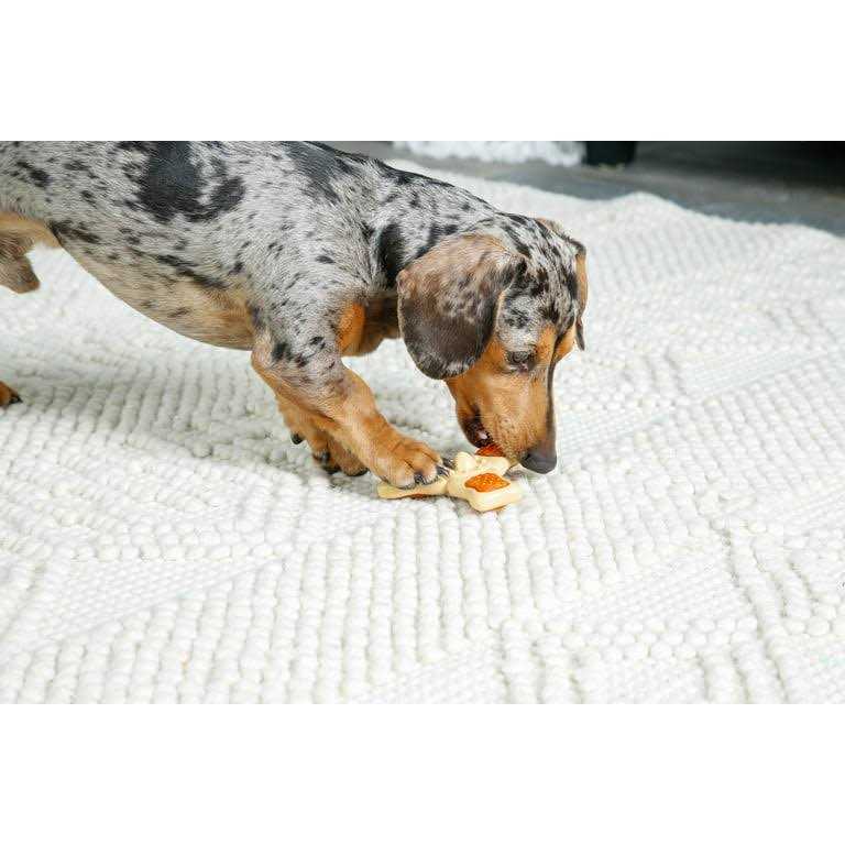 Chew Toy I862205