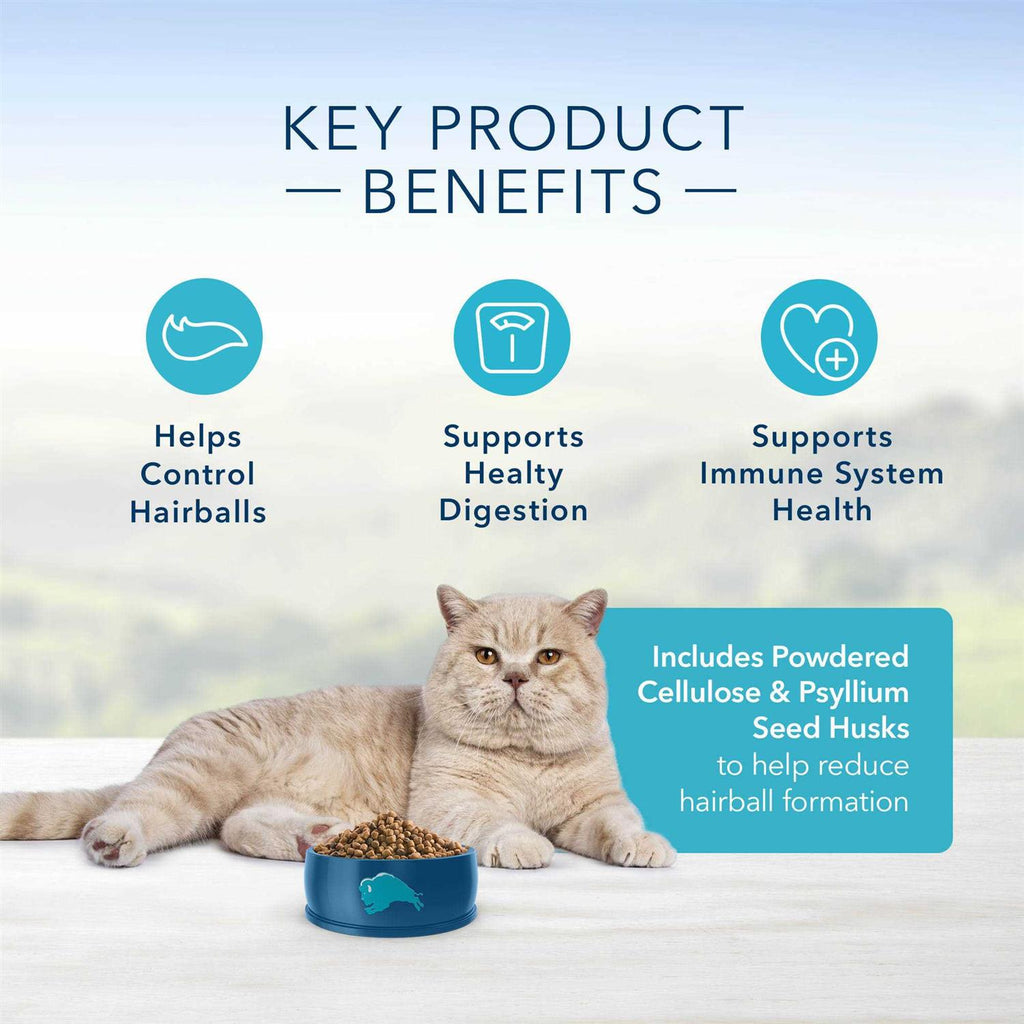 Blue Indoor Hairball Control Adult Dry Cat Food G4597