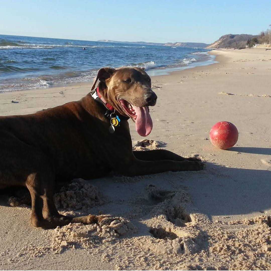 Push n Play Ball F4850