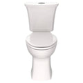 White Elongated Dual Flush Toilet G56931