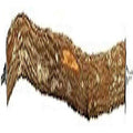 Hardwood Bird Perch M715651