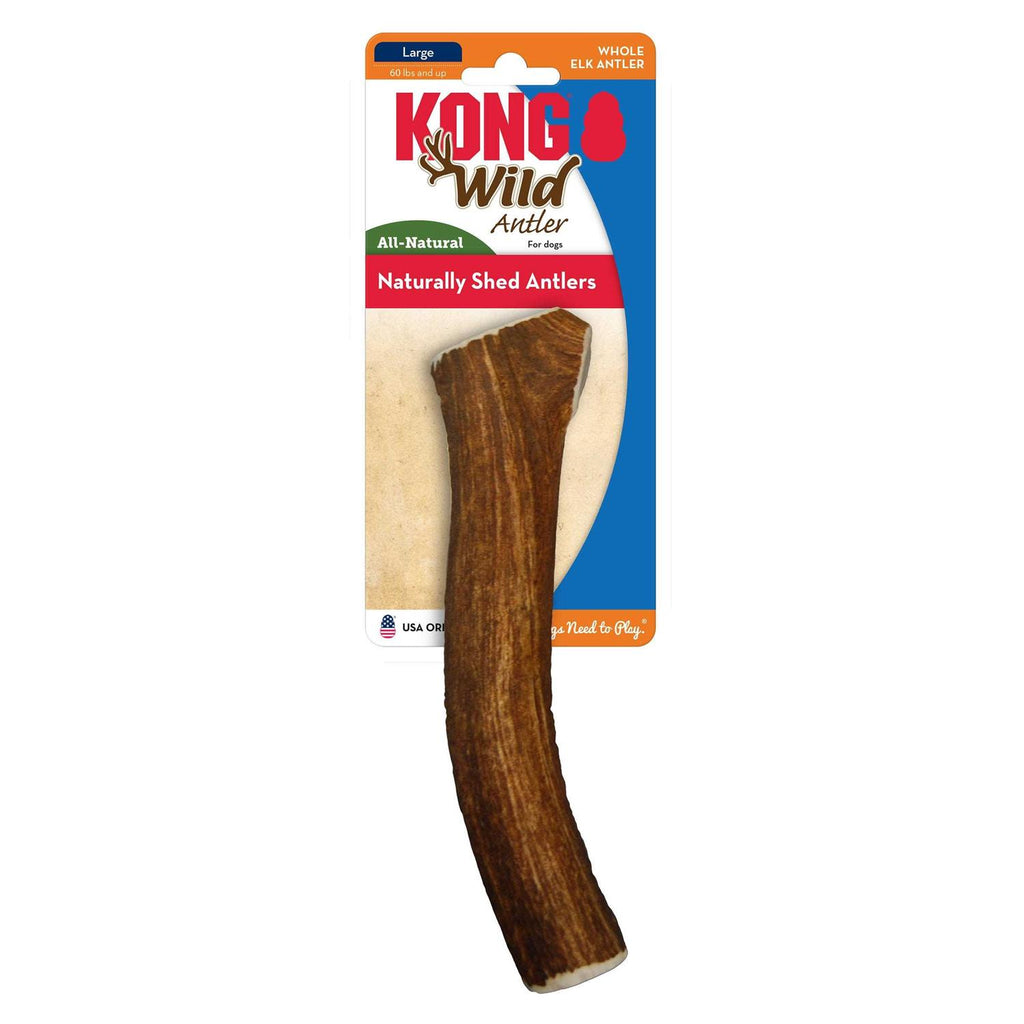 Whole Wild Elk Antler S280462