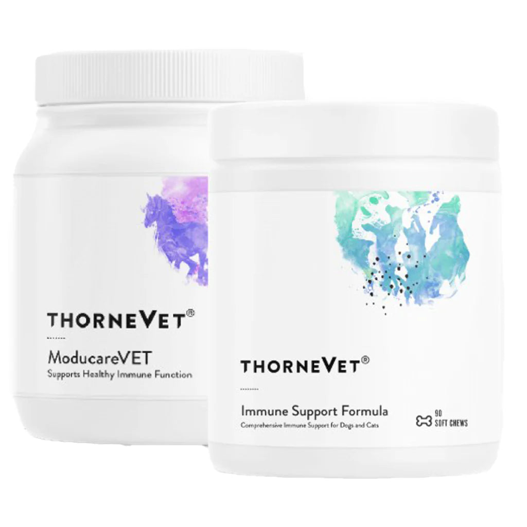 Immune Bundle Softchews 1 Kit H56961