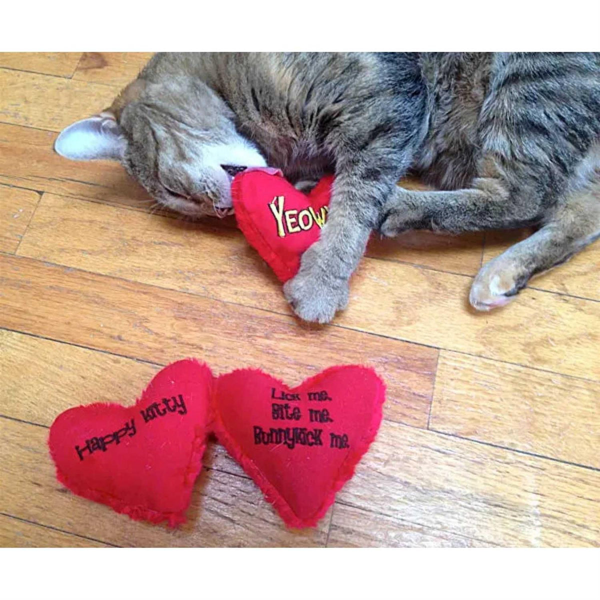 Catnip Toy C24836