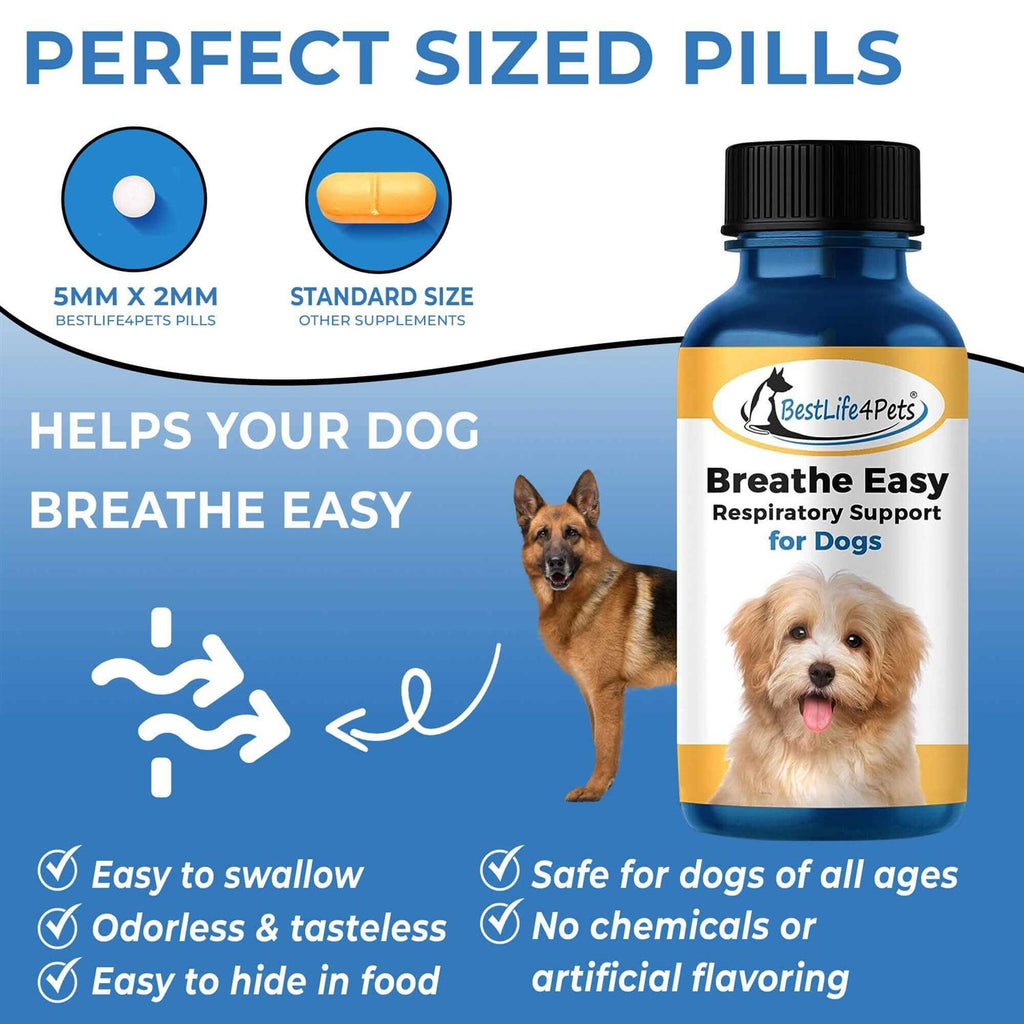 Pet Supplies W15670