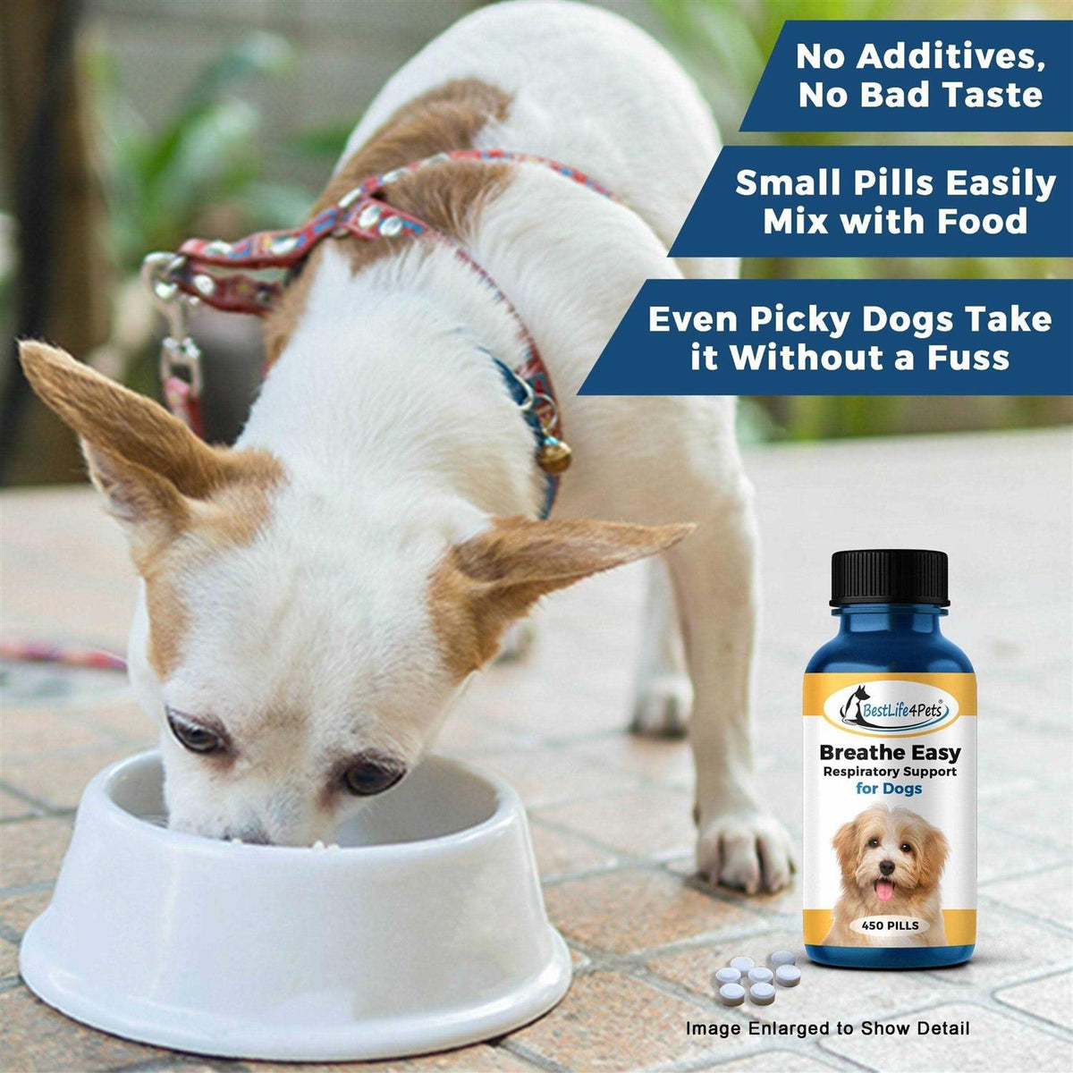 Pet Supplies W15670