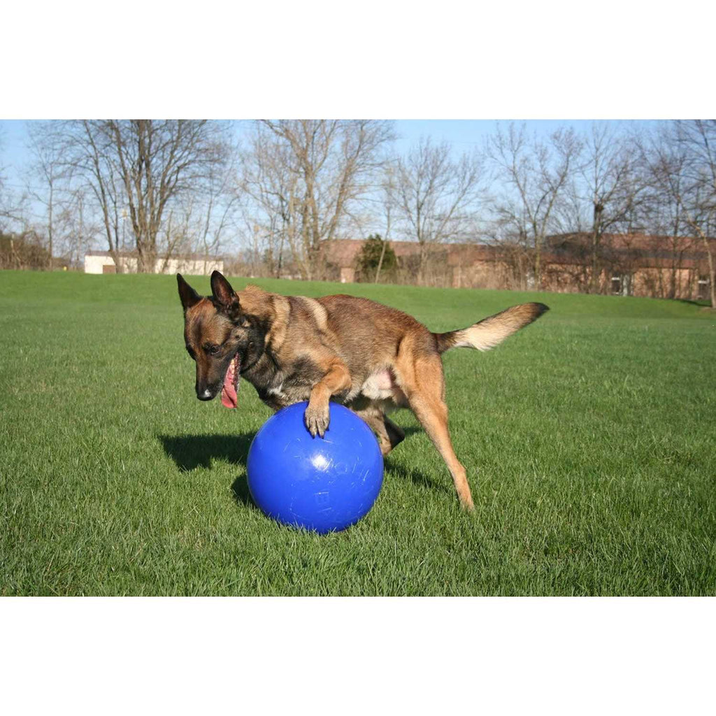 Push n Play Ball F4850
